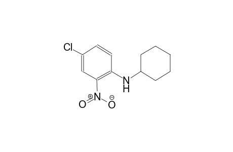 benzenamine, 4-chloro-N-cyclohexyl-2-nitro-