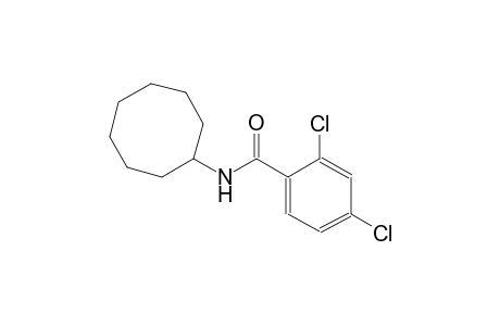 2,4-dichloro-N-cyclooctylbenzamide