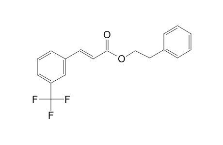 2-Phenylethyl (2E)-3-[3-(trifluoromethyl)phenyl]-2-propenoate