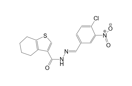 N'-[(E)-(4-chloro-3-nitrophenyl)methylidene]-4,5,6,7-tetrahydro-1-benzothiophene-3-carbohydrazide