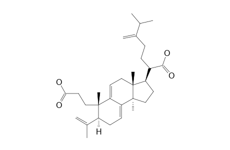 PORICOIC-ACID-C;3,4-SECO-LANOSTA-4(28),7,9(11),24(31)-TETRAEN-3,21-DIOIC-ACID