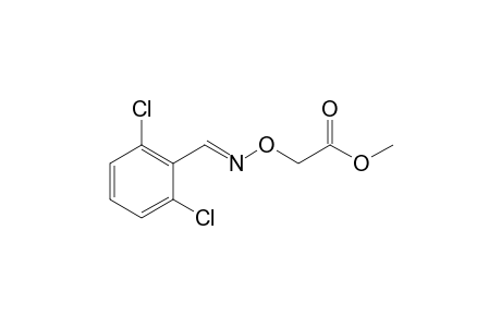Acetic acid, [[[(2,6-dichlorophenyl)methylene]amino]oxy]-, methyl ester