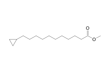 Methyl 11-Cyclopropylundecanoate