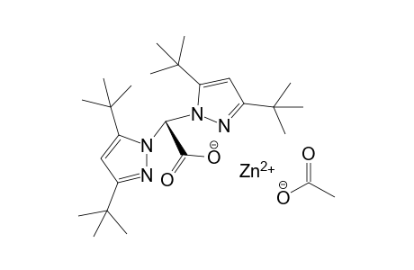 zinc(II) 2,2-bis(3,5-di-tert-butyl-1H-pyrazol-1-yl)acetate acetate