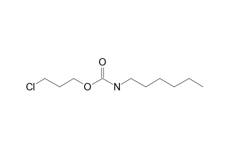 Carbonic acid, monoamide, N-hexyl-, 3-chloropropyl ester