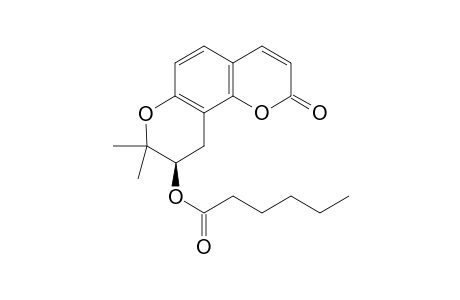 (+)-Hexanoyllomatin