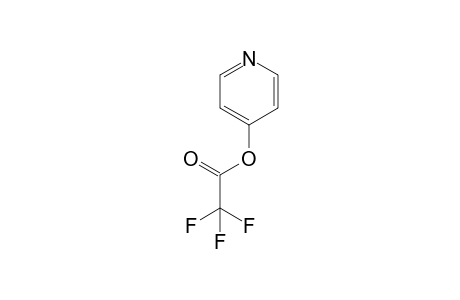 pyridin-4-yl 2,2,2-trifluoroacetate