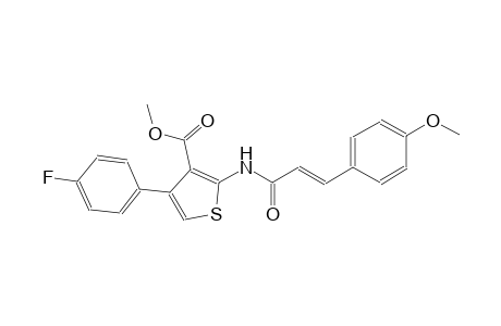 methyl 4-(4-fluorophenyl)-2-{[(2E)-3-(4-methoxyphenyl)-2-propenoyl]amino}-3-thiophenecarboxylate