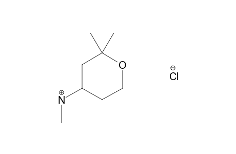 TETRAHYDRO-N,2,2-TRIMETHYLPYRAN-4-AMINE, HYDROCHLORIDE