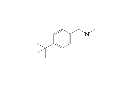 1-(4-(tert-butyl)phenyl)-N,N-dimethylmethanamine