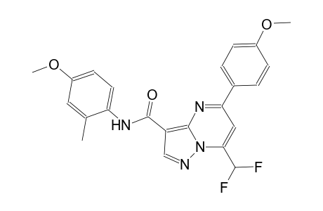 7-(difluoromethyl)-N-(4-methoxy-2-methylphenyl)-5-(4-methoxyphenyl)pyrazolo[1,5-a]pyrimidine-3-carboxamide