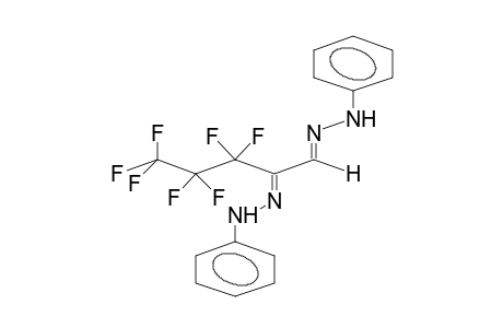 PERFLUOROPROPYLGLYOXAL, BIS(PHENYLHYDRAZONE)