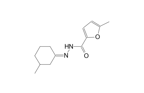 5-methyl-N'-[(1E)-3-methylcyclohexylidene]-2-furohydrazide