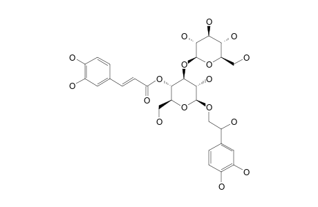 HELLICOSIDE;3,4,7-TRIHYDROXY-BETA-PHENETHYL-O-BETA-D-GLUCOPYRANOSYL-(1->3)-4-O-CAFFEOYL-BETA-D-GLUCOPYRANOSIDE