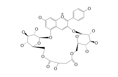 3,5-DI-O-(BETA-GLUCOPYRANOSYL)-PERLARGONIDIN-6''-O-4,6'''-O-1-CYCLIC-MALATE