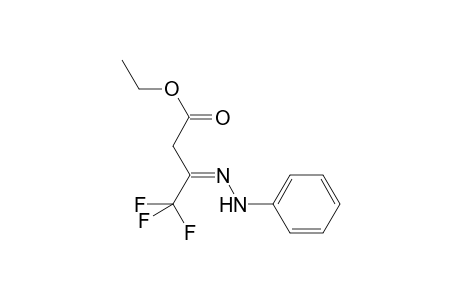 Butyric acid, 4,4,4-trifluoro-3-(phenylhydrazono)-, ethyl ester