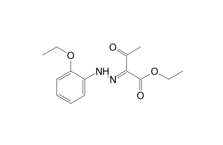 2,3-dioxobutyric acid, ethyl ester, 2-(o-ethoxyphenyl)hydrazone