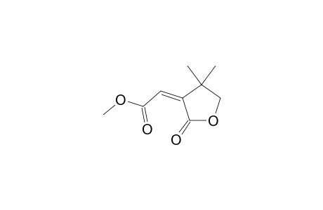 Z-METHYL-4,4-DIMETHYL-2-OXOTETRAHYDROFURAN-3-YLIDENEACETATE