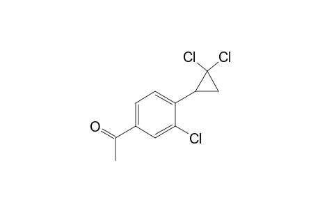 Acetophenone, 3-chloro-4-(2,2-dichlorocyclopropyl)-