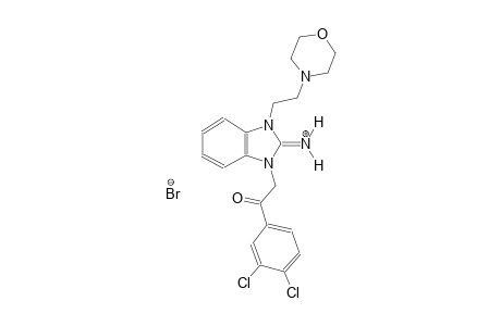1-[2-(3,4-dichlorophenyl)-2-oxoethyl]-3-[2-(4-morpholinyl)ethyl]-1,3-dihydro-2H-benzimidazol-2-iminium bromide