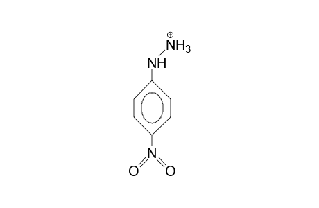 (4-Nitro-phenyl)-hydrazine cation