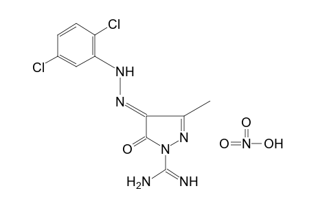 1-AMIDINO-3-METHYLPYRAZOLE-4,5-DIONE, 4-[(2,5-DICHLOROPHENYL)HYDRAZONE], MONONITRATE