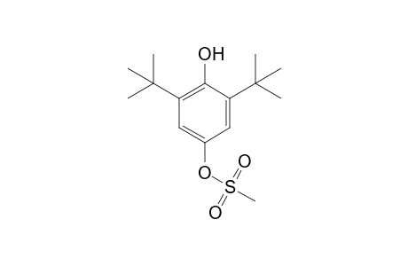 2,6-di-tert-butylhydroquinone, 4-methanesulfonate