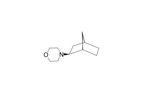 EXO-N-MORPHOLINO-2-AMINONORBORNANE