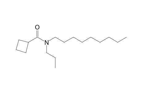 Cyclobutanecarboxamide, N-propyl-N-nonyl-