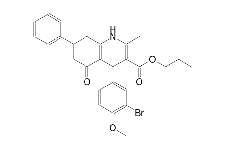 propyl 4-(3-bromo-4-methoxyphenyl)-2-methyl-5-oxo-7-phenyl-1,4,5,6,7,8-hexahydro-3-quinolinecarboxylate
