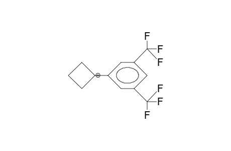1-[3,5-Bis(trifluoromethyl)-phenyl]-1-cyclobutylium cation