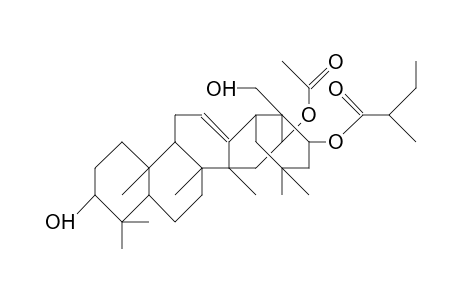 16.alpha.-O-Acetyl-22.alpha.-(2'-methyl-butyroyl)-camelliagenin-A