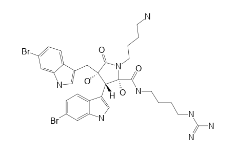 EUSYNTYELAMIDE_F