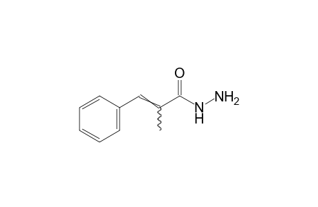 alpha-methylcinnamic acid, hydrazide
