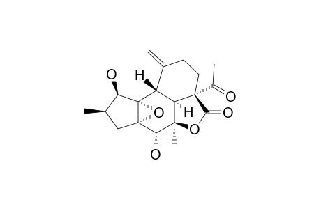 CROTOCASCARIN-GAMMA