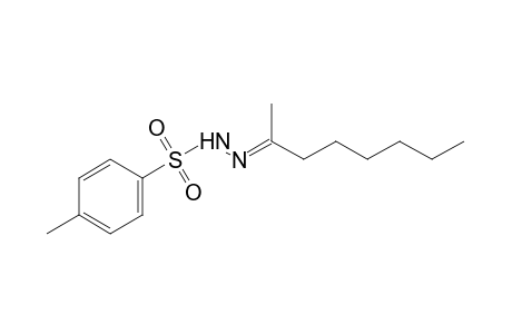 p-toluenesulfonic acid, (1-methylheptylidene)hydrazide