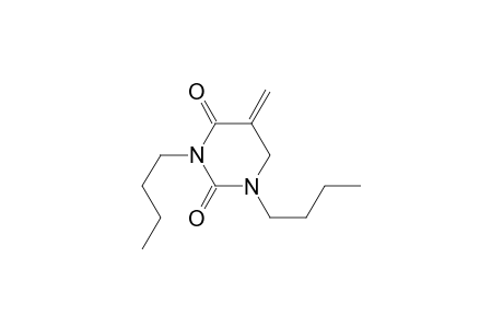 1,3-Dibutyl-5-methylene-1,3-diazinane-2,4-dione
