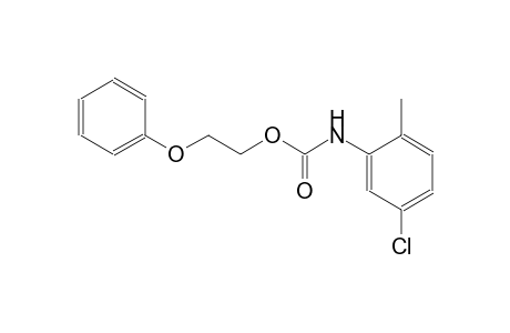 2-phenoxyethyl 5-chloro-2-methylphenylcarbamate