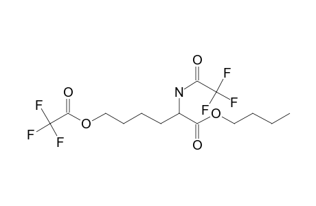 2-Amino-6-hydroxyhexanoic acid, N,o-di(trifluoroacetyl)-, N-butyl ester