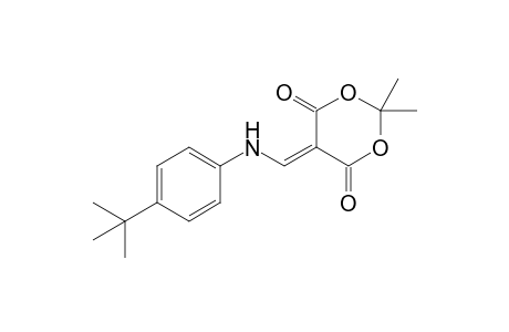2,2-Dimethyl-5-{[(4-tert-butylphenyl)amino]methylene}-1,3-dioxane-4,6-dione