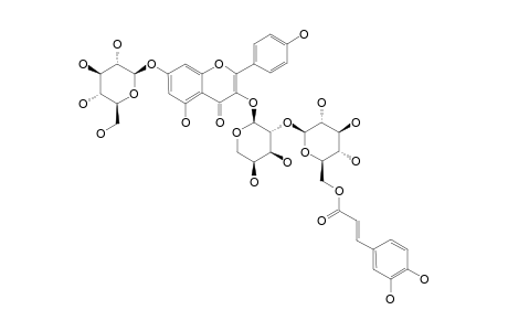 KAEMPFEROL-3-O-BETA-D-[6'''-O-(E)-CAFFEOYL]-GLUCOPYRANOSYL-(1'''->2'')-O-ALPHA-L-ARABINOPYRANOSIDE-7-O-BETA-D-GLUCOPYRANOSIDE