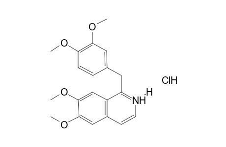 6,7-Dimethoxy-1-(3,4-dimethoxybenzyl)isoquinolinium chloride