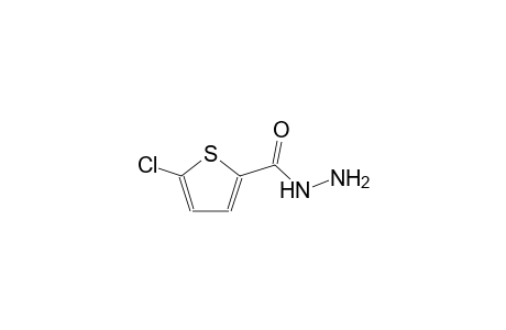 5-chloro-2-thiophenecarbohydrazide