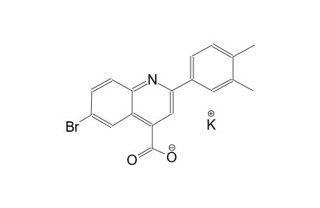 potassium 6-bromo-2-(3,4-dimethylphenyl)-4-quinolinecarboxylate