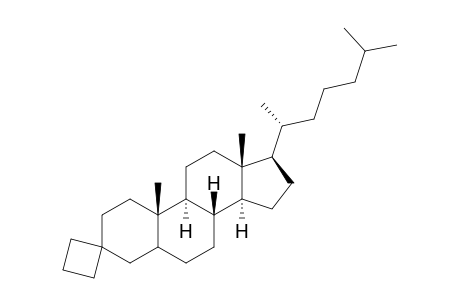 Spiro[Cholestane-3,1'-cyclobutane]