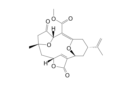 UNTGQDGFBQQJKZ-SUCYXBIQSA-N