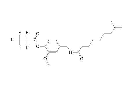 Dihydrocapsaicin, o-pentafluoropropionyl-