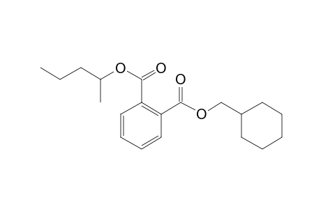 Phthalic acid, cyclohexylmethyl 2-pentyl ester