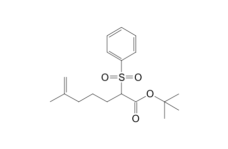 2-(benzenesulfonyl)-6-methyl-6-heptenoic acid tert-butyl ester