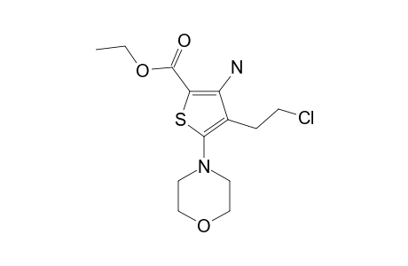 ETHYL-3-AMINO-4-(2-CHLOROETHYL)-5-MORPHOLINO-2-THIOPHENECARBOXYLATE